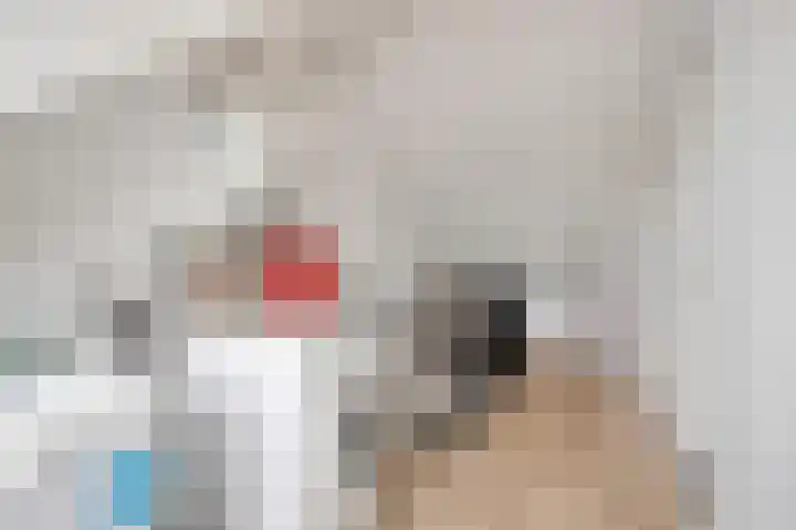 Flevolandlaan 18 Eindhoven thumbnail 29
