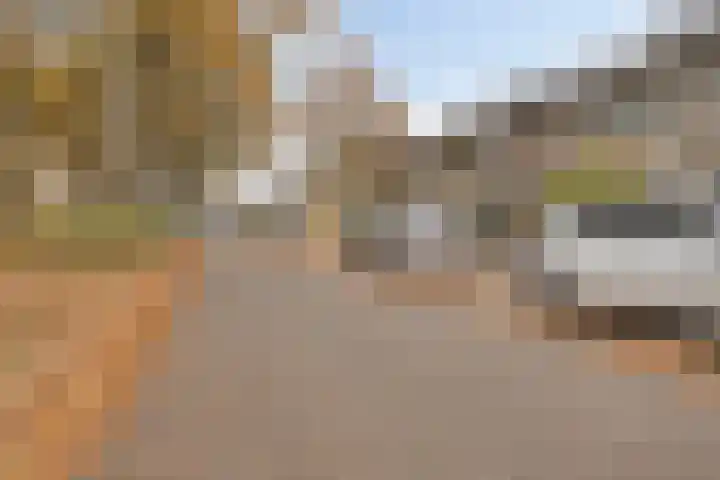 Flevolandlaan 18 Eindhoven thumbnail 37