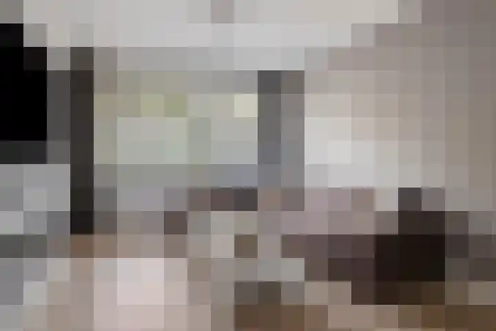 Flevolandlaan 18 Eindhoven thumbnail 8