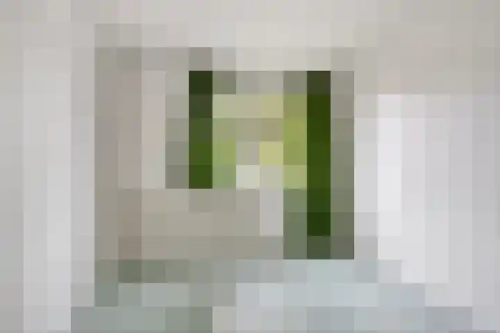 Flevolandlaan 26 Eindhoven thumbnail 14