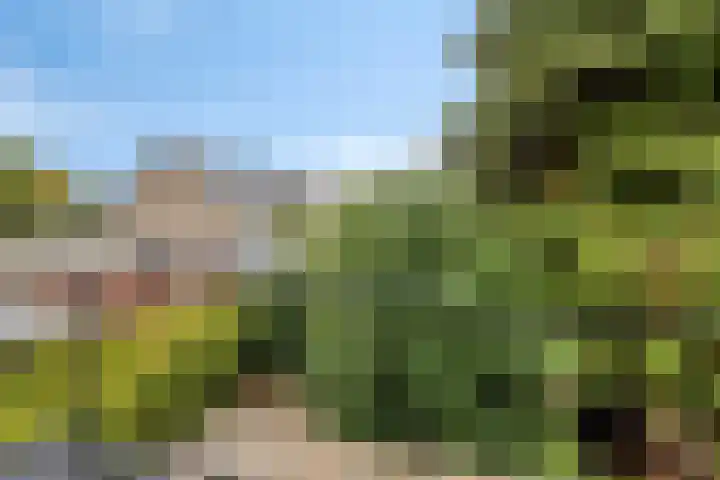 Flevolandlaan 26 Eindhoven thumbnail 16