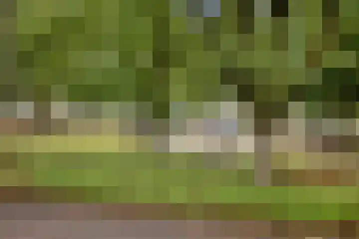 Flevolandlaan 26 Eindhoven thumbnail 21