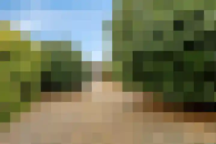 Flevolandlaan 26 Eindhoven thumbnail 25