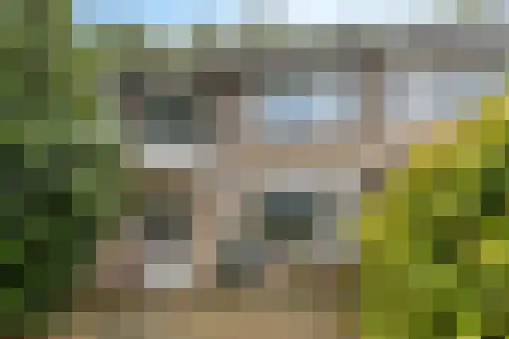 Flevolandlaan 26 Eindhoven thumbnail 26