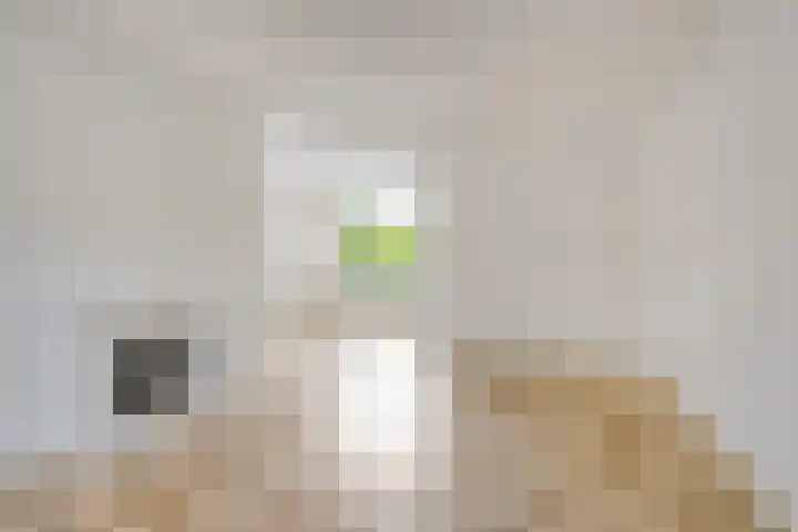 Flevolandlaan 26 Eindhoven thumbnail 5