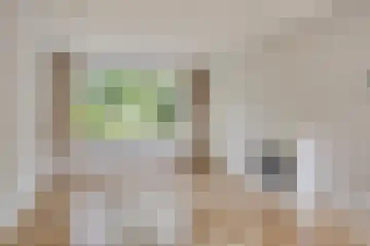 Flevolandlaan 26 Eindhoven thumbnail 6
