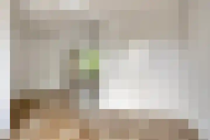 Flevolandlaan 26 Eindhoven thumbnail 9