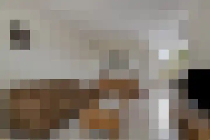 Flevolandlaan 4 Eindhoven thumbnail 13