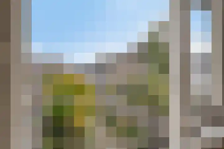Flevolandlaan 4 Eindhoven thumbnail 25