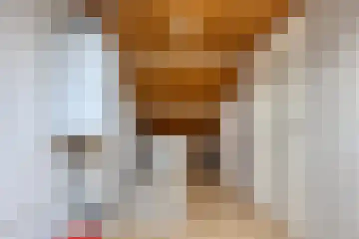 Flevolandlaan 4 Eindhoven thumbnail 27
