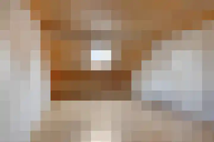 Flevolandlaan 4 Eindhoven thumbnail 28