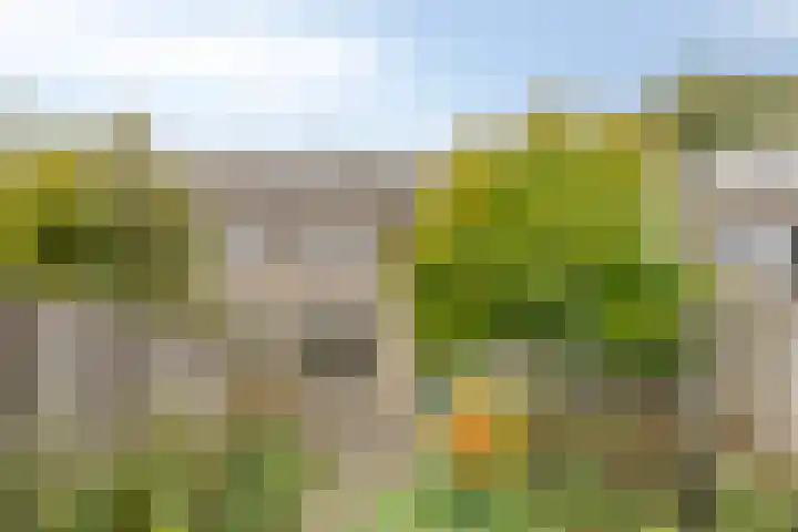 Flevolandlaan 4 Eindhoven thumbnail 31