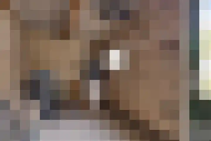 Flevolandlaan 4 Eindhoven thumbnail 33
