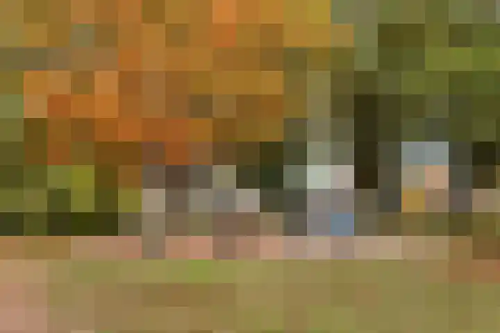 Flevolandlaan 4 Eindhoven thumbnail 34