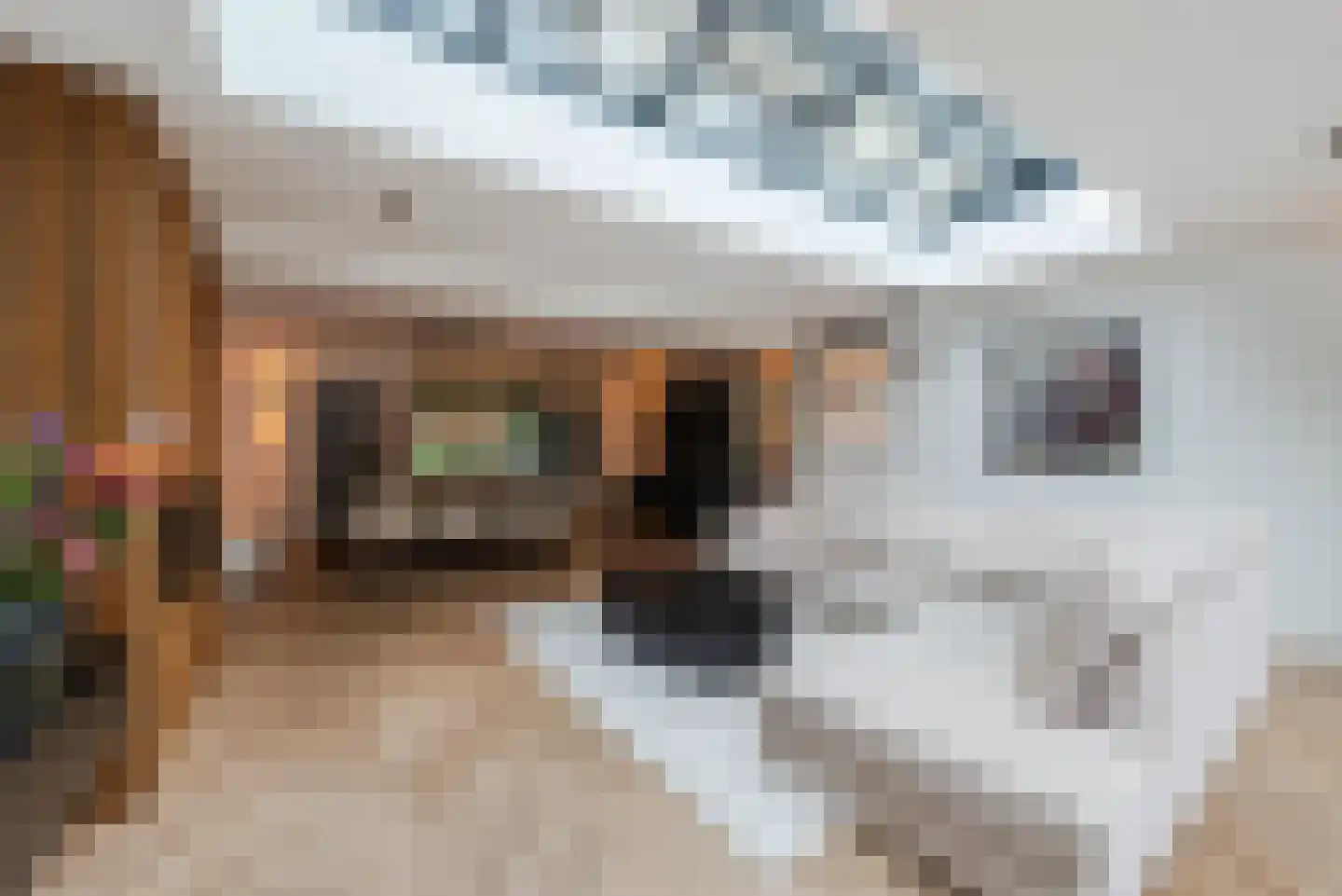 Flevolandlaan 8 Eindhoven thumbnail 14