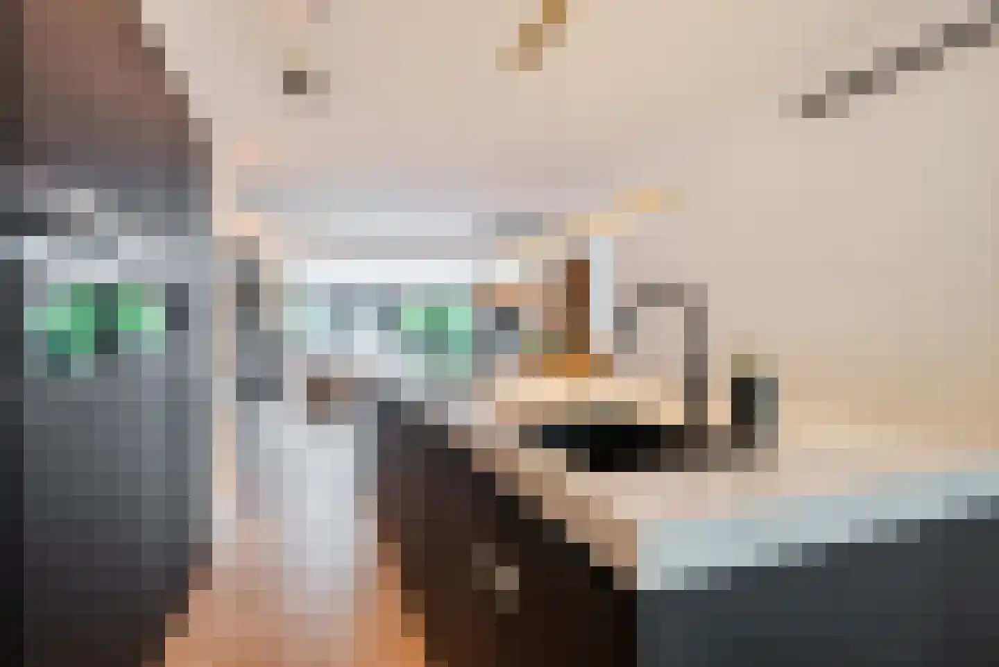 Flevolandlaan 8 Eindhoven thumbnail 21