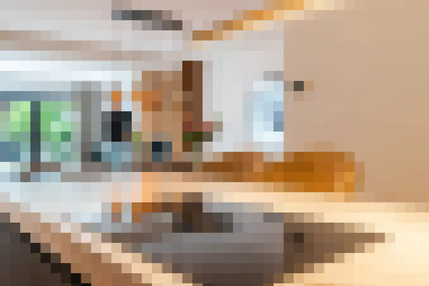 Flevolandlaan 8 Eindhoven thumbnail 24