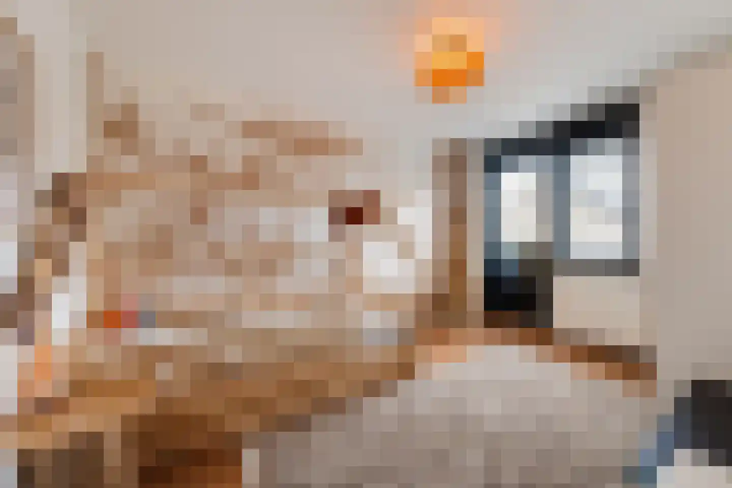 Flevolandlaan 8 Eindhoven thumbnail 31
