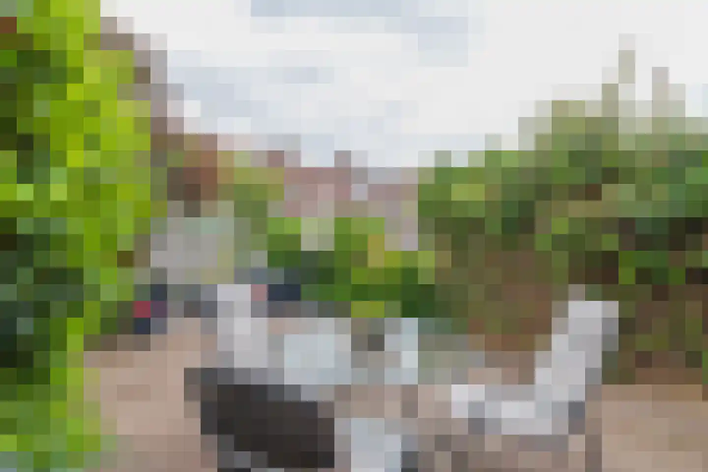 Flevomeer 29 Uithoorn thumbnail 14
