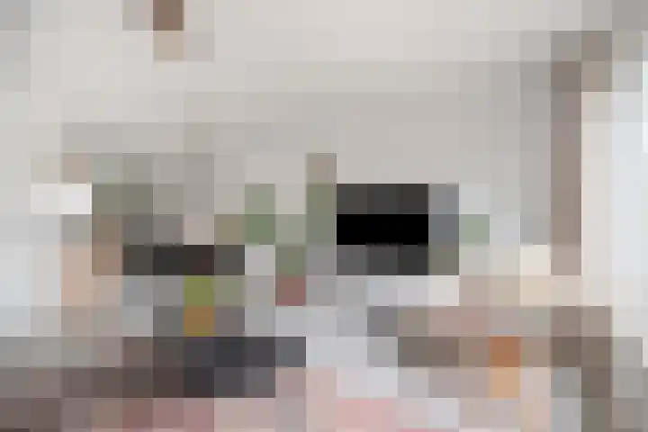 Flevomeer 39 Zaandam thumbnail 10