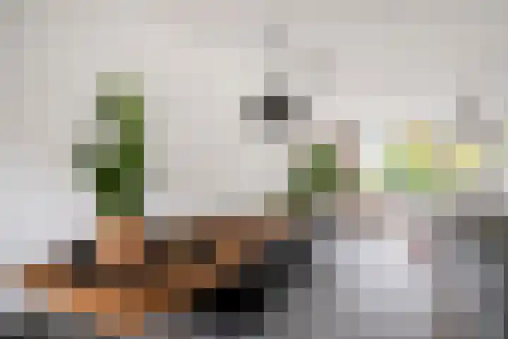 Flevomeer 39 Zaandam thumbnail 12