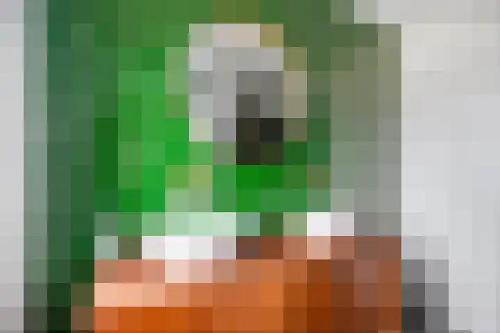 Flevomeer 39 Zaandam thumbnail 20