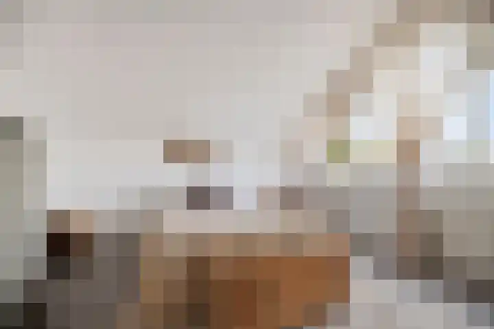 Flevomeer 39 Zaandam thumbnail 24