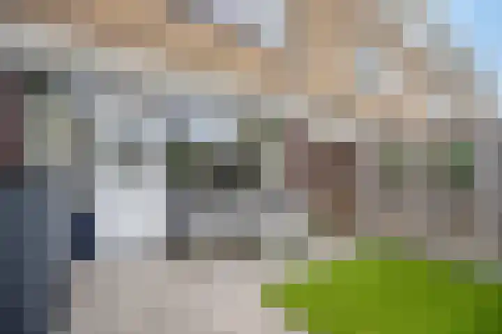 Flevomeer 39 Zaandam thumbnail 29