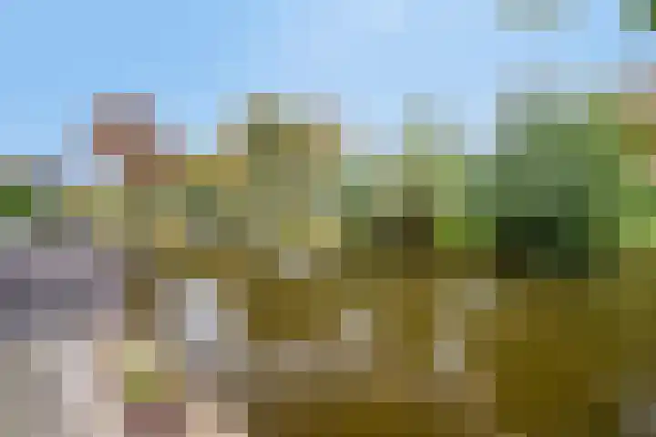 Flevomeer 39 Zaandam thumbnail 32