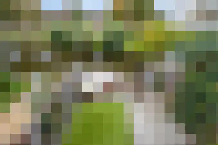 Flevomeer 39 Zaandam thumbnail 33