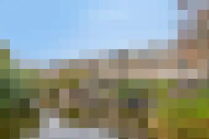 Flevomeer 39 Zaandam thumbnail 34