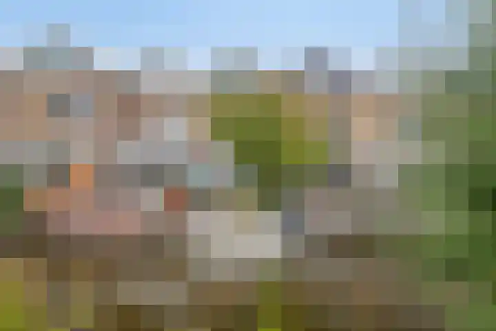Flevomeer 39 Zaandam thumbnail 35