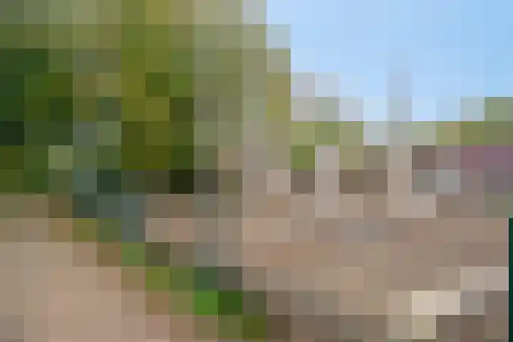 Flevomeer 39 Zaandam thumbnail 39