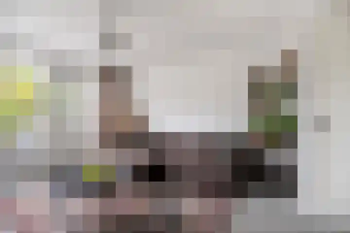 Flevomeer 39 Zaandam thumbnail 8