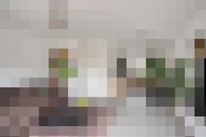 Flevomeer 39 Zaandam thumbnail 9