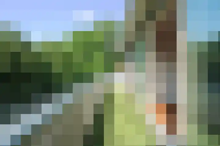 Flevoparkweg 38 Amsterdam thumbnail 18