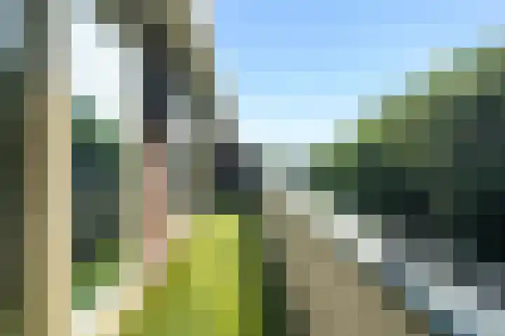 Flevoparkweg 38 Amsterdam thumbnail 19