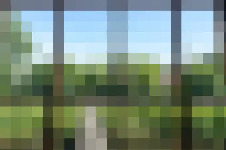 Flevoparkweg 38 Amsterdam thumbnail 7