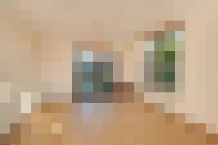 Flevoplantsoen 23 Almelo thumbnail 4