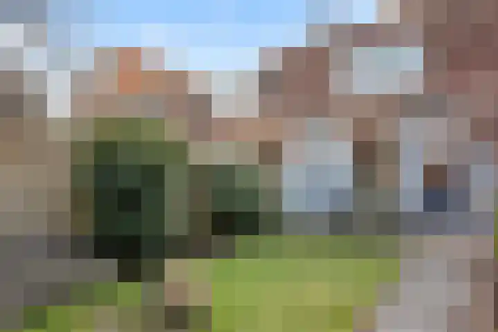 Flevoplein 16 Haarlem thumbnail 14