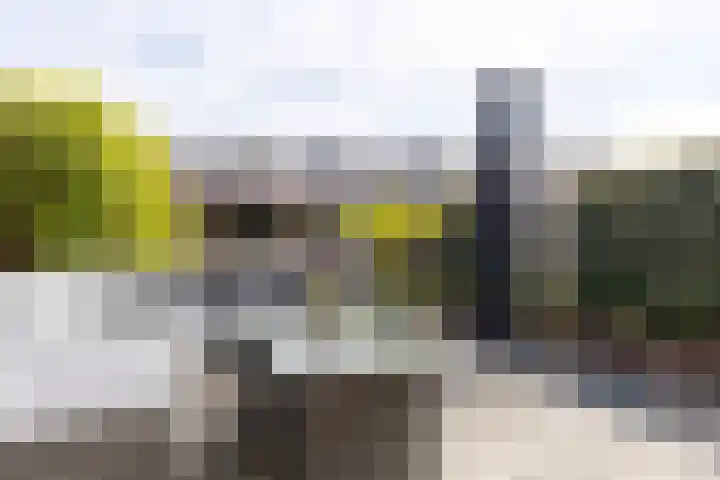 Flevosingel 42 Medemblik thumbnail 36