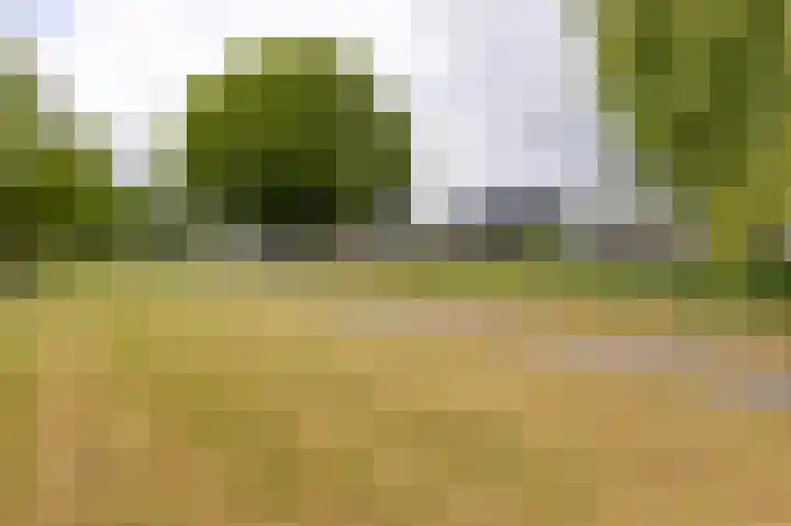 Flevosingel 60 Medemblik thumbnail 5