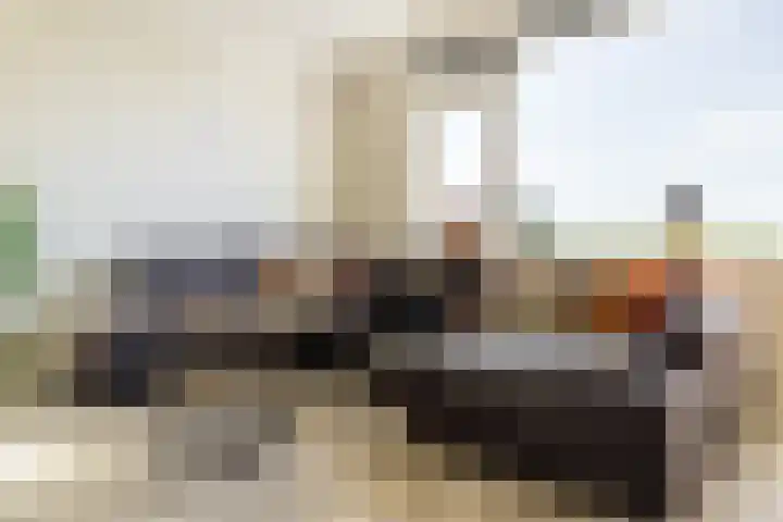 Flevostraat 113 Purmerend thumbnail 12