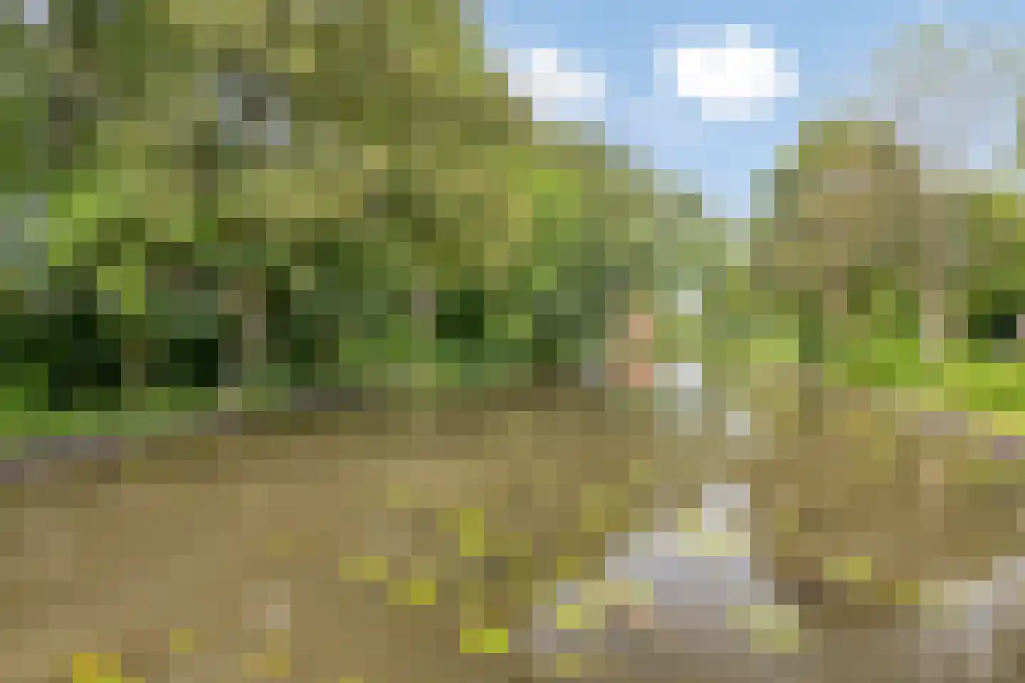Flevostraat 195 Purmerend thumbnail 47