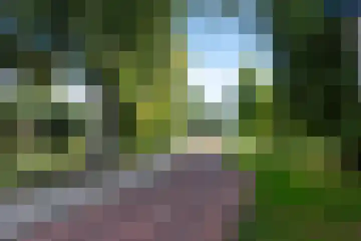Flevostraat 241 Purmerend thumbnail 31