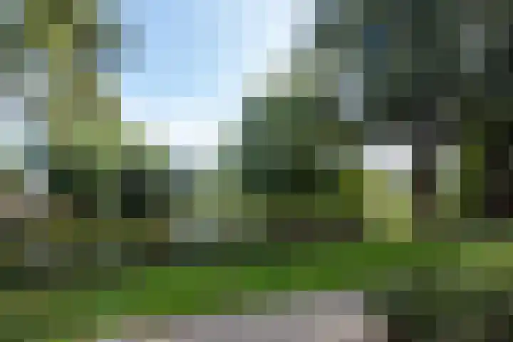 Flevostraat 241 Purmerend thumbnail 32