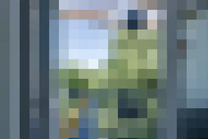 Flevostraat 243 Purmerend thumbnail 28