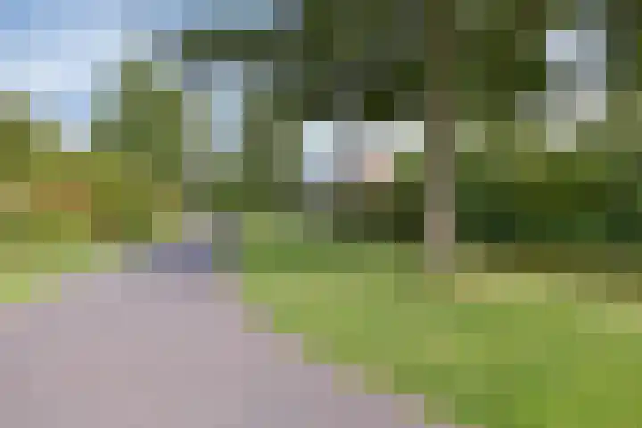 Flevostraat 29 Purmerend thumbnail 32