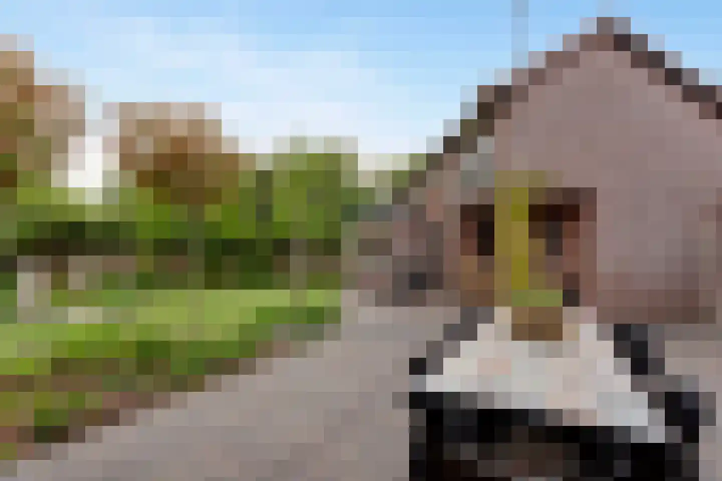 Flevoweg 3 Elburg thumbnail 48