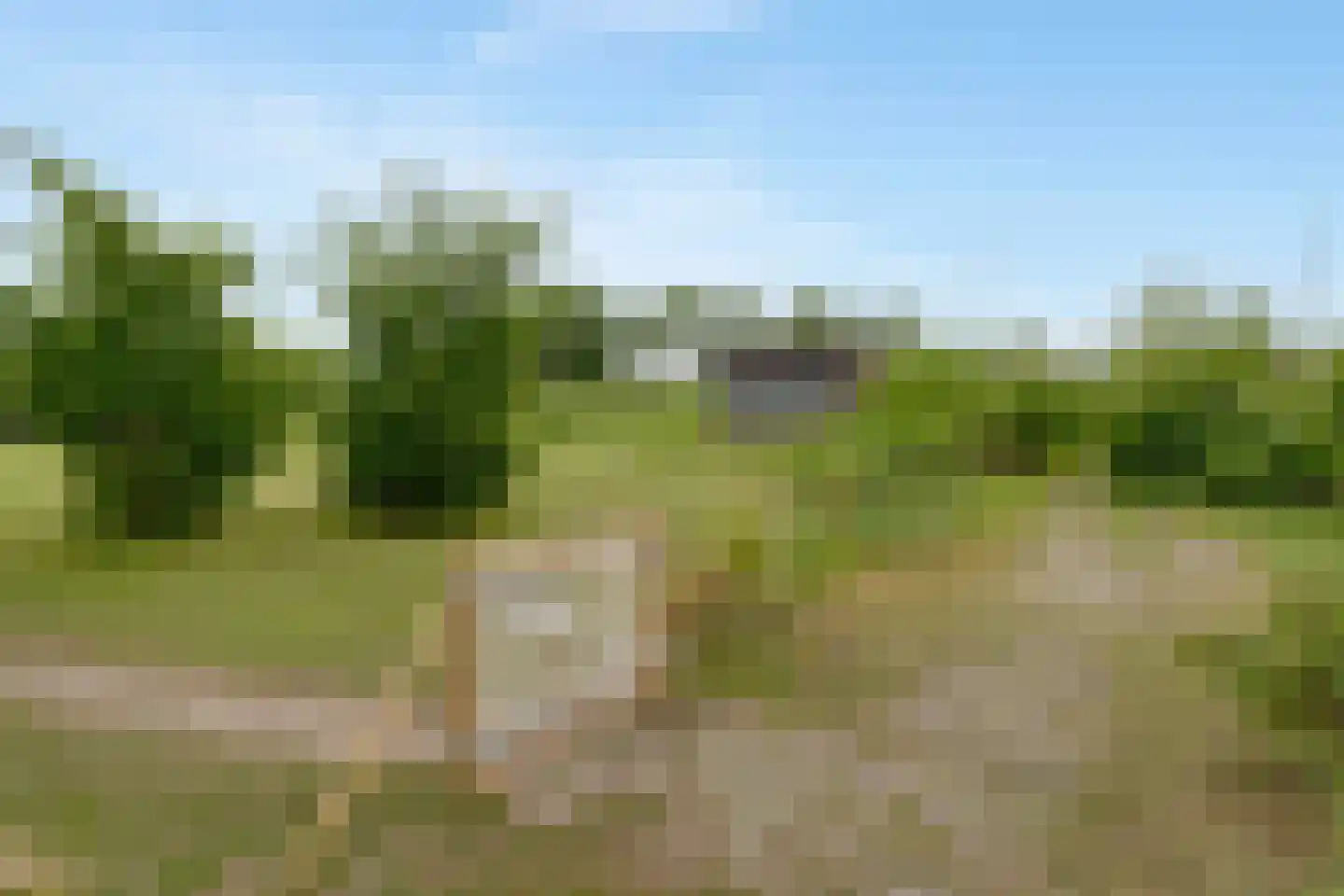 Flevoweg 3 Elburg thumbnail 64